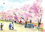 水彩画/宮川堤